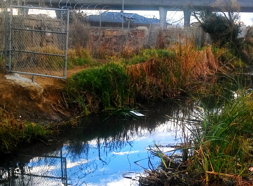 Chemical Runoff from Land
